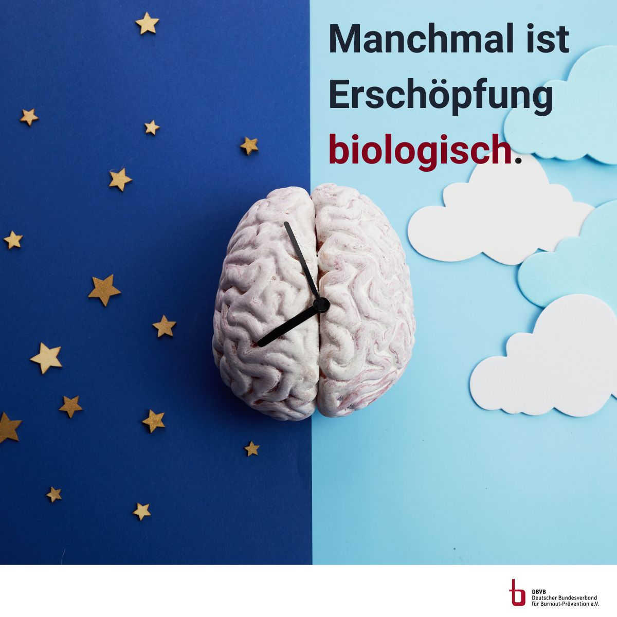 Nicht jede Erschöpfung ist ein Motivationsproblem. Manchmal ist sie biologisch.